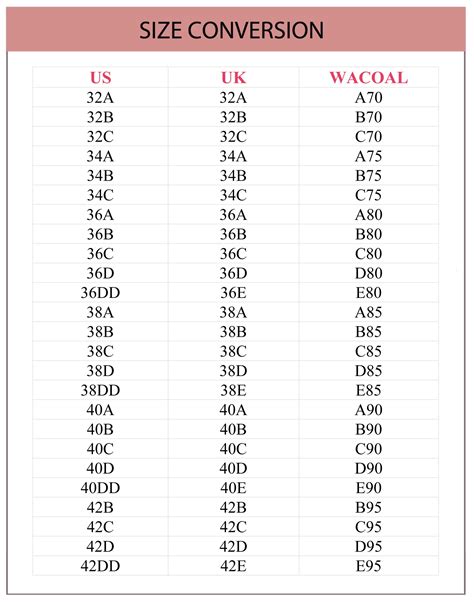 Size Chart & Bra Size Converter 